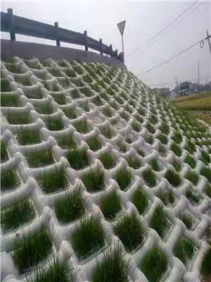 生態模袋護坡